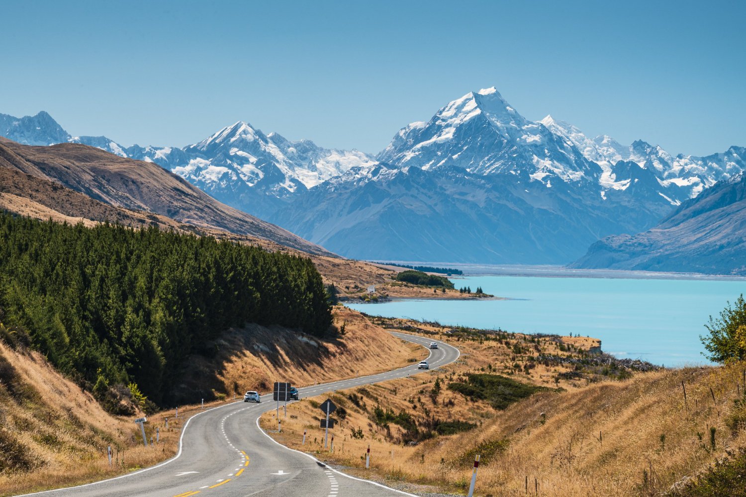 Students planning to study in New Zealand